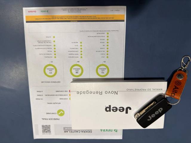 RENEGADE 1.8 FLEX AUT - 2021/2021 - CINZA 18